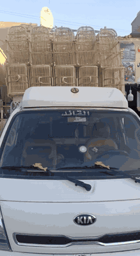 ياالله اللهم صلِّ على محمد وآل محمد 🌺
متاح خانات ♥ اقفاص بلابل جمله مفرد عنوانه بغداد الحريه  ..... توصيل موجود داخل بغداد والكروه حسب المنطقه الاتصال***********///////‏‪***********
