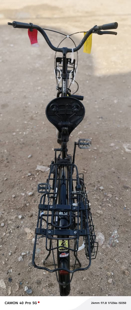 السلام عليكم
باسكل للبيع الموديل 2020

باسكل جاهز 

النضافه 80 ب 100 

العنوان النجف مقابل قريه الغدير 

بشارع المطحنه 

السعر 110 وبي مجال قليل 

حك الجيه
الرقم للاتصال 
***********
