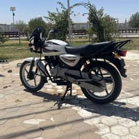 بوكسر كلاسيكي • ٢٠١٩ • أوراق كامله