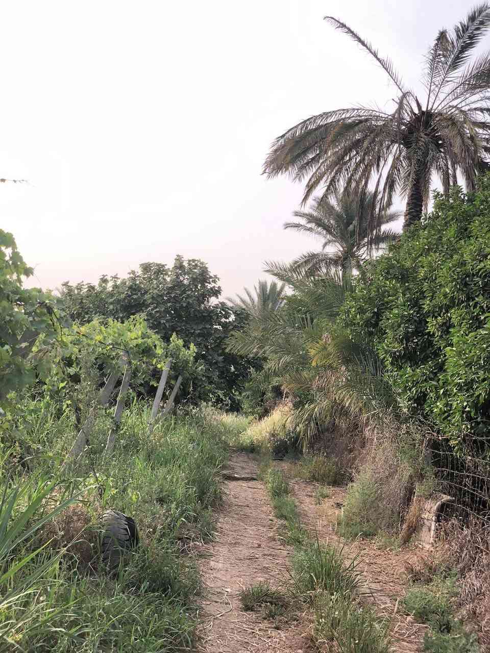 سلام عليكم
بستان البيع 
مساحه 4دوانم
العنوان صلاح الدين قضاء بلد يم الكاكات مال مشروع بستان 
واتساب*********** 
اتصل*********** 
حسب زبون انبيع حياكمً الله 
تفيد منتجعات سياحيه
