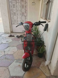 دراجة شحن • حجم ١٤ • بابل سكندريه