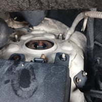 ستاركس 2009 • رقم انكليزي • قضاء القاسم