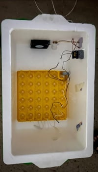 فقاسة اوتماتيك • ٣١ بيضة • التاجي الشيخ حمد