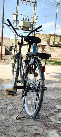 باسكل • حجم 26 • موديل 21