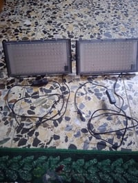 بلاجكتورات • أمزون • بغداد بل عبيدي