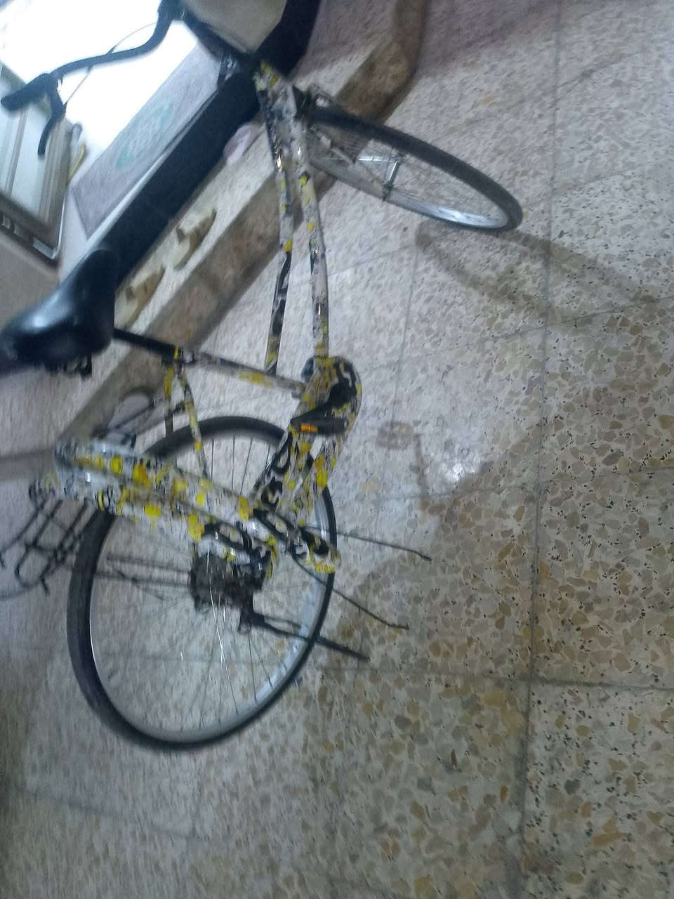 سلام عليكم بايسكل سياحي لاعرف الحجم ولا هاي المور اسعر تسعين بريك شقال تواير جدد اسعر 90العنوان البصره الحياني دور الشرطه ***********رقمي بي بس وتساب فقط ولمو شراي لايصر لوتي تره لاعرف بيهن ولا اعرف سعرهن
