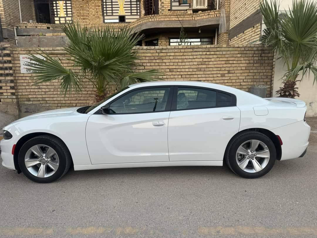 جارجر ٢٠٢٣ خليجي ماشيه ٥١ الف
SXT المواصفات المعروفة
اللون ابيض
كشن السايق كهرباء
رقم دولي بسمي بغداد 
بيها طخه بلدعامية الاماميه بس الدعاميه ومصبوغه ربعها والمازده مصلحه جهه اليمنه ومكفوله من كلشي 
تخم تاير جديد صدرها كله جديد 
الرقم ***********
عارضها ٢٧٥ وبيها مجال
