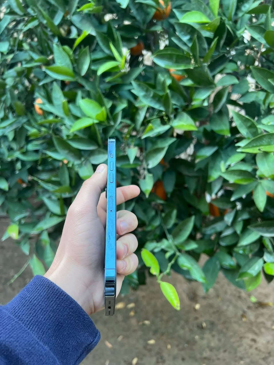 مو شراي لا تراسل ❤
مكاني موصل لا يوجد توصيل
12برو ماكس 
ذاكره 256
بطاريه 73بلادي قطاره 
مبدل شاشه نوعيه مضبوطه 
سعره (260) قفل 🔒أبل 230لا تعلق


**إذا كنت صاحب هذا الإعلان وتريد حذفه لأي سبب، رجاءا أرسل رسالة إلى الدعم الفني**