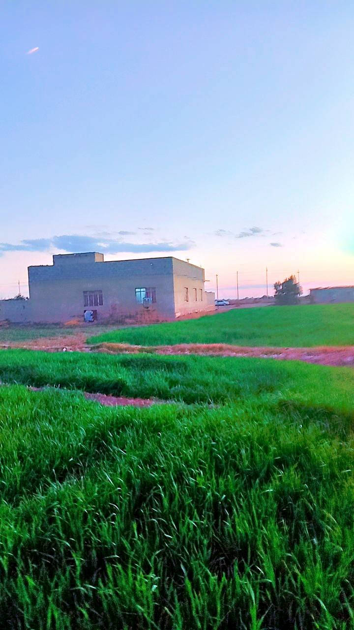 سلام عليكم دار للبيع مع)(٥)دوانم متوفر ماء كهرباء مدرسه مستوصف علا شارع لعام وشراي بيه خير ويدلل نتصال ‏‪‏‪0782 368 8520‬‏👈‏‪0780 384 7596‬‏
