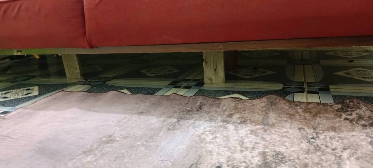 البيع مابي شي بس حنه مثبتي بخشب عدنه جهال 6مقاعد 175 بياع شارع عشرين وآل خشبات عادي يتوخرن تره


**إذا كنت صاحب هذا الإعلان وتريد حذفه لأي سبب، رجاءا أرسل رسالة إلى الدعم الفني**