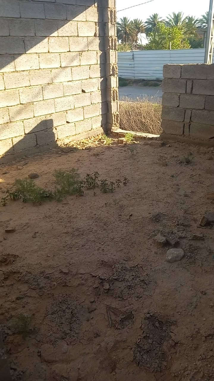 للبيع 200م
هيكل

غرفتين 

ستقبال

مطبخ

صاله

حمام

منور داير ماداير لبيت

عنوان حي جامعه نزلت مطعم اولاد مطرود

 سعر خاص


**إذا كنت صاحب هذا الإعلان وتريد حذفه لأي سبب، رجاءا أرسل رسالة إلى الدعم الفني**