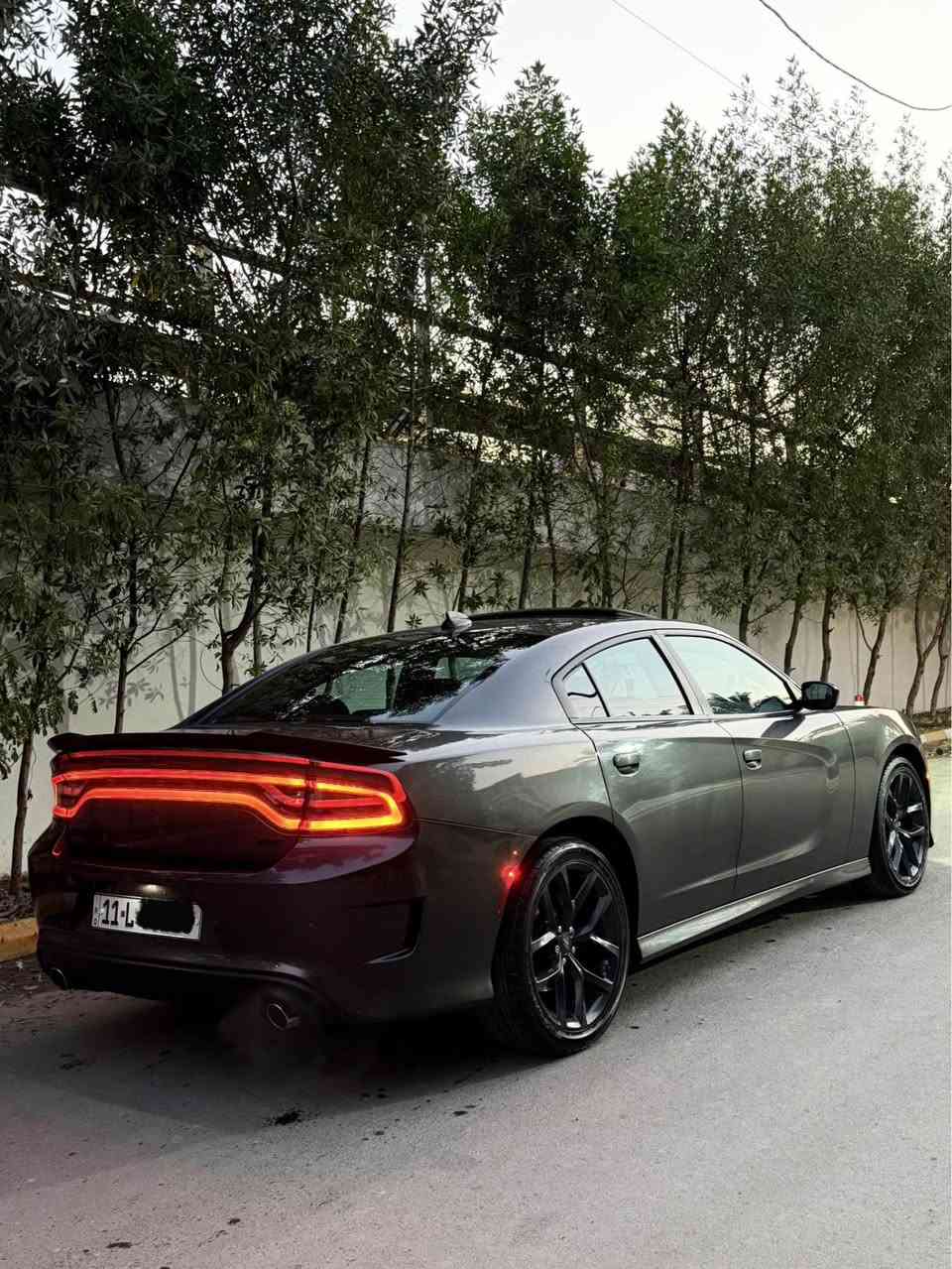 ‎جارجر جي تي 
CHARGER (GT)
*ملاحظه والسياره اشكد ماكول جديده مو مثل جدادة الحقيقه وصور الحادث والسونار خاص
‎الموديل :2022  . (وارد امريكي حادث جاملغ جهة السايق + باب جهة الصدر ايرباك طاك وراجع سستم دشبول مبدل جديد السياره بدون قطرة صبغ كله تبديل نفس الون) . 
‎العداد :50  الف ميل . 
‎المحرك : V6 .  3.6L .
‎المواصفات :
‎* جناح خلفي . 
‎* ويل قياس 20 انچ اسود  . 
‎* مقاعد رياضية مخمل .
‎* مصابيح أمامية زنون . 
‎* كشافات الضباب زنون . 
‎* المصابيح الأمامية مع LED . 
‎* حساسات خلفية. 
‎* شاشه كبيرة مع نظام ملاحة نفكيشن GPS . 
‎* سستم صوت الپاين .
‎* المقاعد الأمامية كهربائية فقط سائق. 
‎* مقاعد أمامية تدفئة . 
‎* مقاعد خلفية تدفئة . 
‎* تشغيل عن بعد . 
‎* تدفئة مقود القيادة . 
‎* محدد سرعة . 
‎* تلفون بلوتوث . 
‎* كاميرا خلفية .
‎* مرايا متحسسة للاضاءة العالية .
‎* كير شفتر بالستيرن . 
‎* دخول ذكي (بصمة) .
                               السعر 262 ورقه وبيه مجال 
                                مكان السياره صليخ ال600
                للاستفسار *********** الفارس, صلاح الدين
