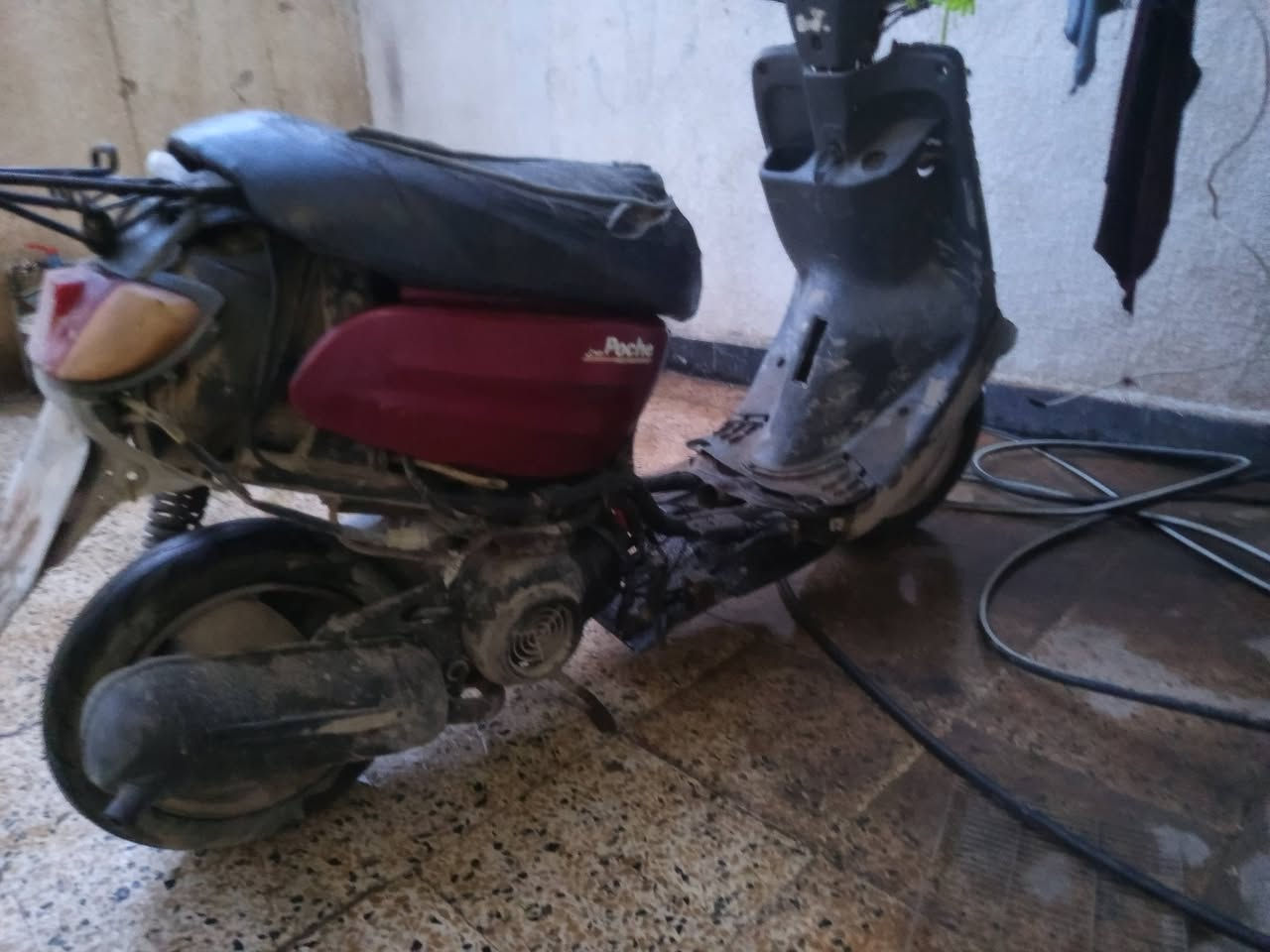 السلام عليكم دراجه بوتين نفخ شاص شلط دراجه كلها اوضاع الشركه بس طفات ما قام تشتغل بس خليني تشتغل يرادلك ابيع فحم قفل من الاخير بدون اي معامله ،،60 وارمانيه شغاله وللامانه الدرع موجود مالته كامل والمنيه كلهت شغاله وشرط اغراضه اصليه وحتى سويجات مال الشركه***********
