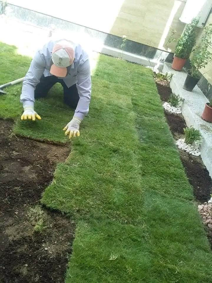 لعمل الديكور ا
🍃مستـعدون🍂 ، لـترتيب🐦 الحدائق المنزلية 🏝️🏘️ ودوائر الدوله والمتنزهات  مايخص الحدائق العامة

وزراعة النباتات، 🌾🌴🌱والازهار، 🌼🌺🌻وقص الثيل.🌾🌾

وعمل الديكورات والتصاميم،الحديثة للحدائق،وعمل وسياجات BRC وسياجات الحدائق، بواسطة الاحجار الملونة والاشتايكر

***********
