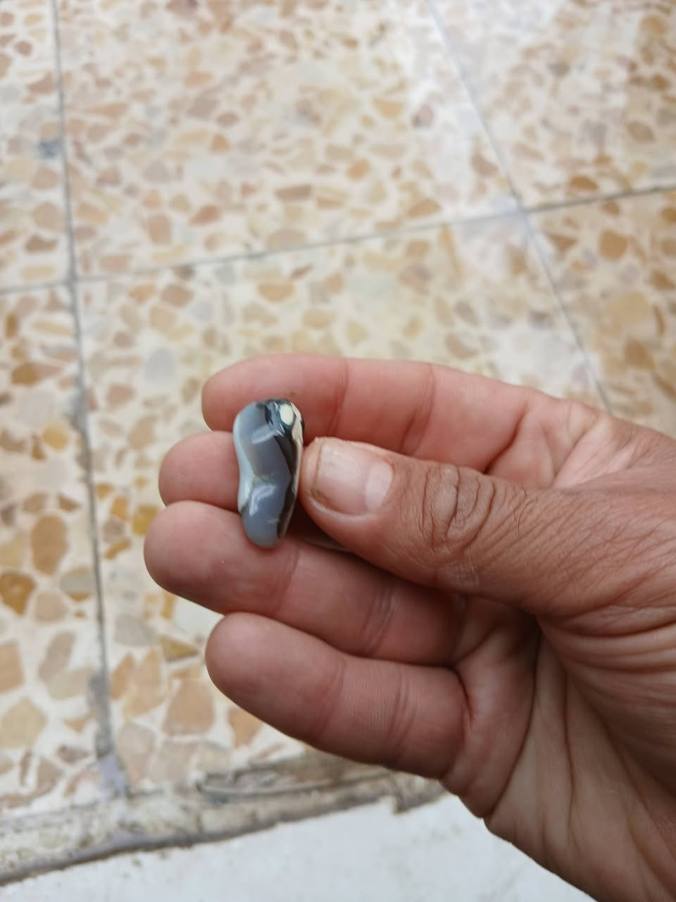 السلام عليكم عندي هاي الاحجار المهتم ويريدهن يراسلني ادزله بعد صور


**إذا كنت صاحب هذا الإعلان وتريد حذفه لأي سبب، رجاءا أرسل رسالة إلى الدعم الفني**