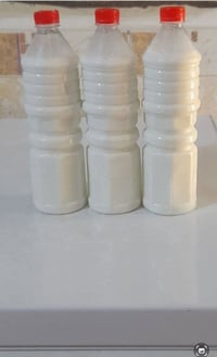 حليب جاموس • براسه • البطل