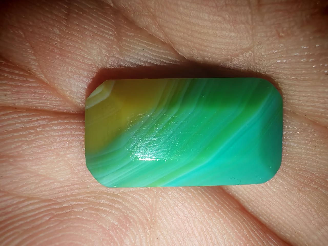 جزعه قديمه اخضر مختلف
جراخه تابوتي جراختي
لعيون الغوالي للعرض


**إذا كنت صاحب هذا الإعلان وتريد حذفه لأي سبب، رجاءا أرسل رسالة إلى الدعم الفني**