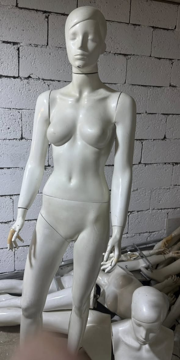 ملكانات للبيع عدد ١١ السعر ع ٥٠ وذا كلهن شله اقل للاستفسار ***********  واتساب متوفر خدمة توصيل للجميع المحافظات
