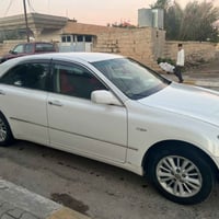 شاهينه • ٢٠٠٧ • داخل اصفر