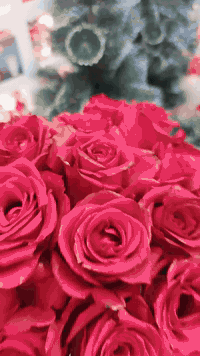 مسكة حنة حسب طلب 
عنوان المحل واسط الصويره شارع النجمه مقابيل ماركت بيت ميره
***********
