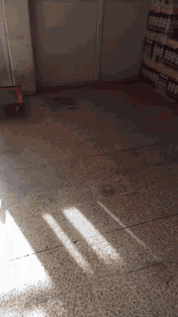 السلام عليكم مخزن للايجار مساحته 120متر مربع الواجهة 12متر النزال 10متر للاستفسار  الاتصال على الرقم *********** مكانه بعقوبة حي المهندسين الشارع السايدين
