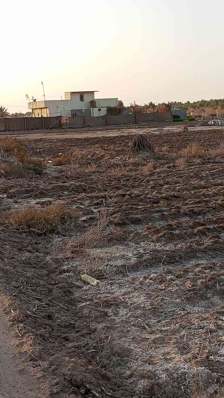 يالله السلام عليكم دونم له ربع البيع عقد 17 المكان كربلاء الحسنيه تبعد  عن الشارع العام 500 متر   كهرباء مي كله قريب عليهه مدرسه متوسطه وبتدائيه   السعر 38 وبيهه مجال  ***********  بي وتساب واني بل خدمه
