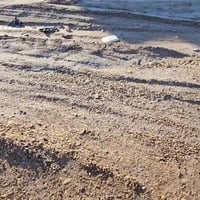 الجمعيات • ٦٠٠م • مقسّم حسب الطلب