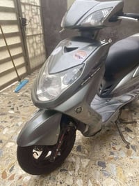 بغداد سبع البور • سكنس • فحل