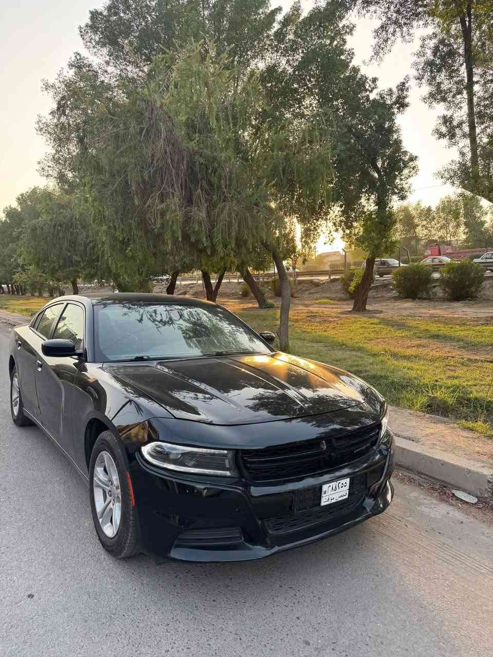 جارجر 2023
محرك 6 سلندر 3600

مواصفات SXT 

شاشة جبيره

حساسات خلفيه

تشغيل عن بعد

وارد امريكي بدون رقم 

ضررها واضح بالصور 

تبديل باب ايمن وجاملغ نفس اللون
ايرباك برده فقط وراجع سستم وعلى الفحص

السعر 212 ورقه

***********
