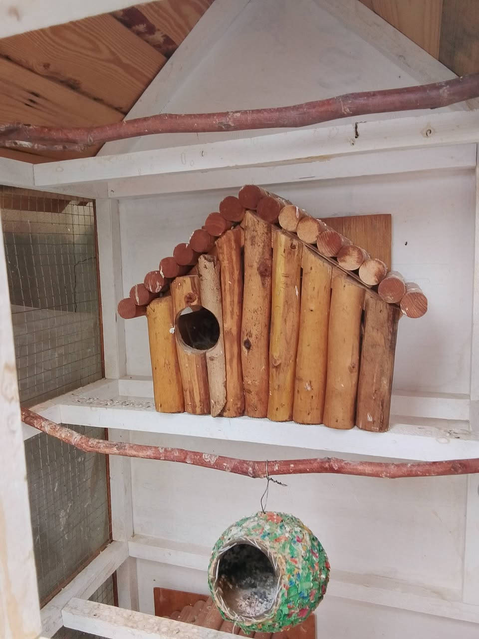 سلام عليكم قفص طيور زينه
قفص مرتب وما بيه كلشي نضيف وجديد لخشب ماله نوع ثقيل سعر 75
***********
