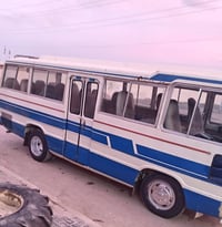 ١٩٨١ • سيارة كاز • رقم شمالي