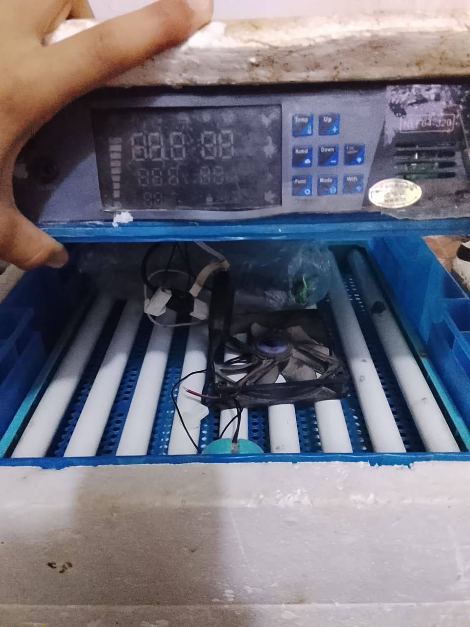 فقاسه البيع بيه بس البنكه مال الفان وكفه


**إذا كنت صاحب هذا الإعلان وتريد حذفه لأي سبب، رجاءا أرسل رسالة إلى الدعم الفني**