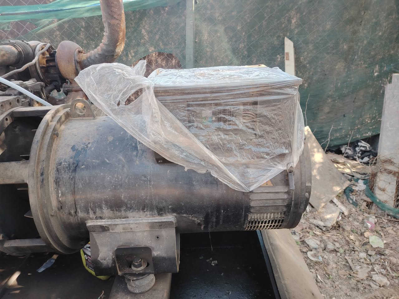 راس توليد ٣٠٠كيفي جديد *********** سعر ٢٣
