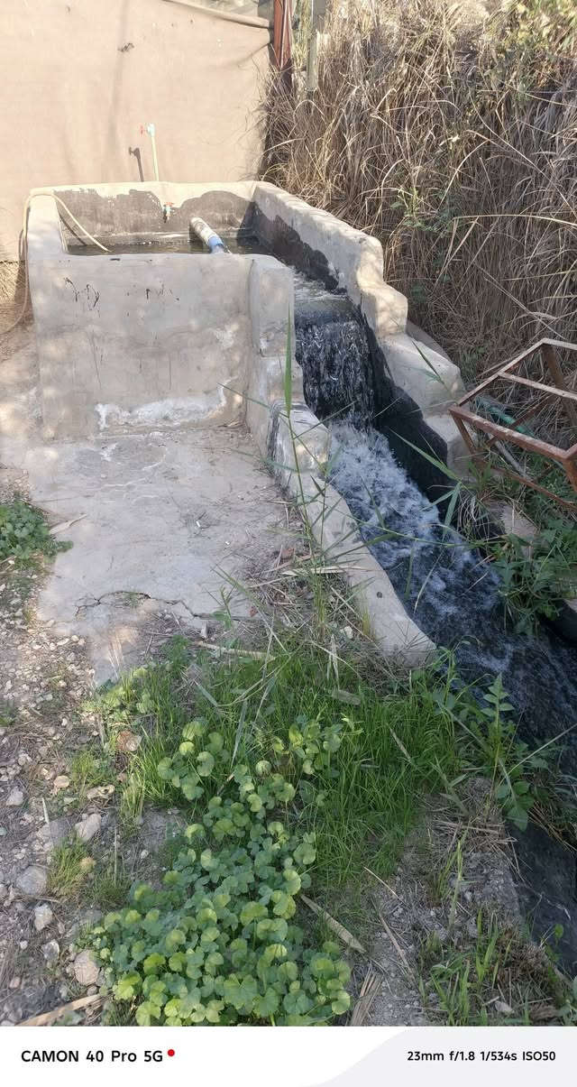 السلام عليكم مزرعه دونم ونص ٣٧٥٠م كامله من خدمات كهرباء ماء تحتوي علئ صحيات واستقبال وغرفتين ومطبخ سند ٢٥ تحويل مباشر العنوان بابل المسيب منطقه الشمامره مقابيل النهر مباشر باقي التفاصيل الاتصال علئ ***********
