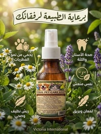 رعايه بيطريه كامله لحيواناتك الاليفه هل يعاني اليفك او طائرك من نتف ال...