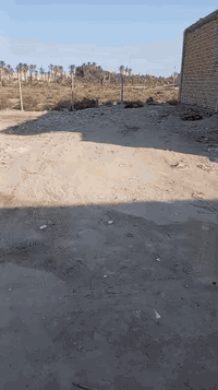 الناصرية ال ابو فياض • طابو زراعي سند25 • 240م