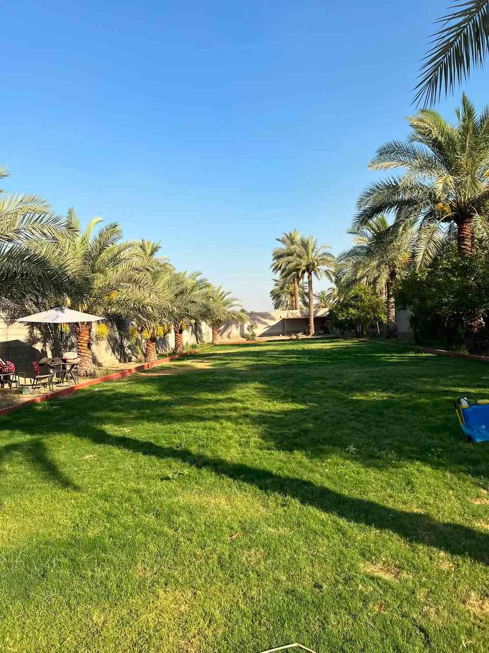 السلام عليكم 
للبيع نص دونم طابو سند 25 واجهة الأرض 25متر جميع الخدمات متوفرة ماء كهرباء تبليط الموقع بغداد المدائن منطقة الجعارة يبعد عن الشارع العام 100متر للاستفسار ***********
