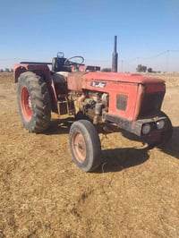 عنتر • شغالة • بابل الشوملي