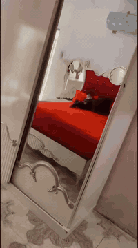 غرفة اخشاب للبيع تركي بيع مستعجل بيها اضرار بسيطه عنواني بغداد الدورة ...