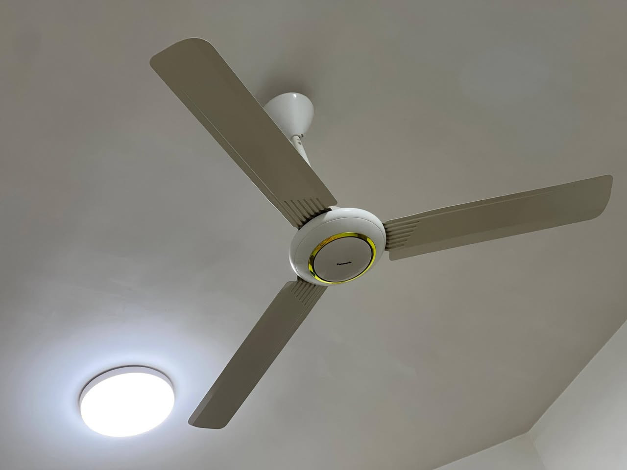 مراوح سقفيه موسم واحد اللبيع السعر ٣٠الوحده


**إذا كنت صاحب هذا الإعلان وتريد حذفه لأي سبب، رجاءا أرسل رسالة إلى الدعم الفني**