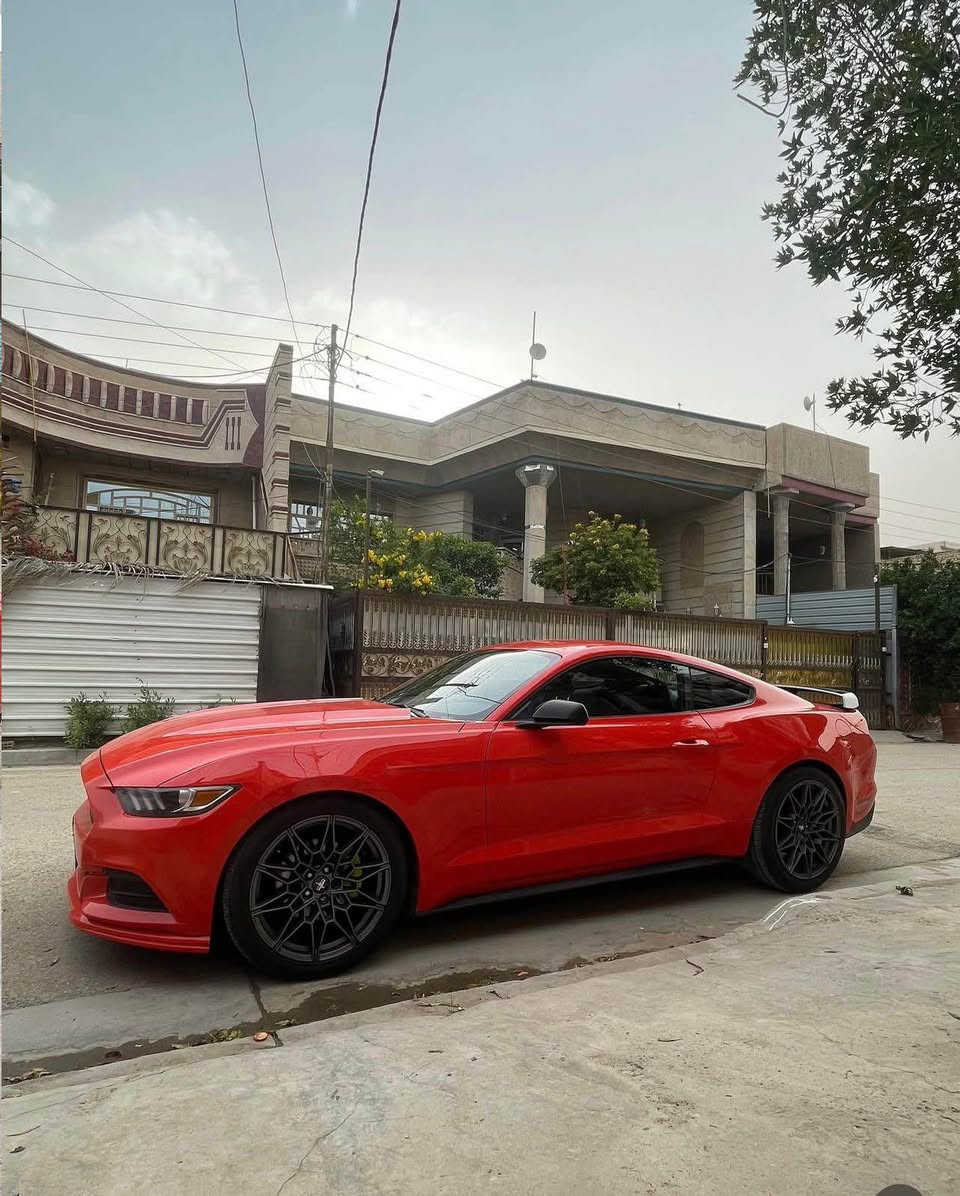 موستنك 
2016
ماشية 95
ايرباك بردة فقط حادثها موجود بالصور
سيارة مناقصها شي حدادية جديدة كير مكينة مكفول وعليها ادامة كاملة 
عنوان بغداد جسر المثنى منطقة شاطئ التاجي 
رقمي 

‏‭0788 436 7846‬ بغداد, العراق
