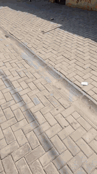 بيت للبيع قطاع صفر  مقابل البحيرة قريب على الشارع العام اتصل على هذا ا...