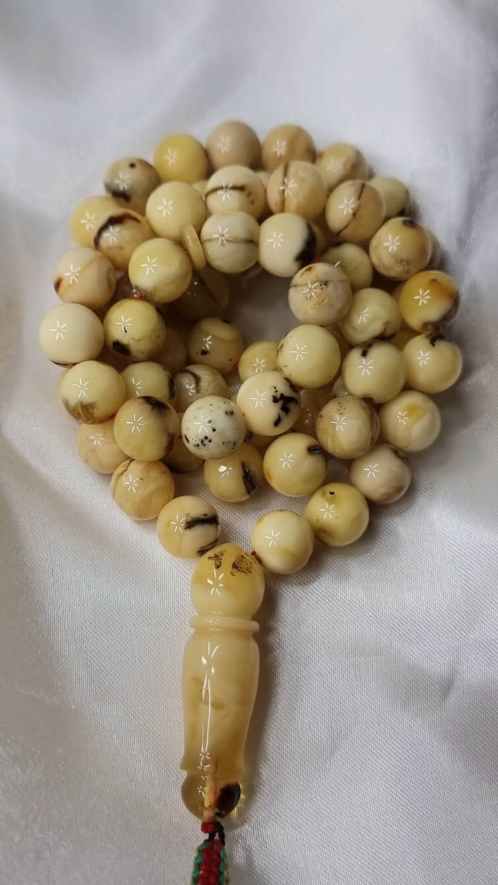 بسم الله تبارك الرحمن
كهرب بلطيقي كلنكرادي جبني  محاحي عمر سنتين
قياس الحبة ١٢ ملم
سعر الغرام ٣ دولار
٦٦ حبة


**إذا كنت صاحب هذا الإعلان وتريد حذفه لأي سبب، رجاءا أرسل رسالة إلى الدعم الفني**