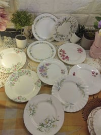 صحون كيك • ماركه رويال مال • قياس ١٧