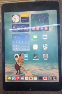 ايباد ميني ٤ • ٦٤ • داعم شريحة