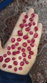 یاقوت نجمی
حجم ناعم
50 غرام
43 قطعە
سعرهم 110 الف


**إذا كنت صاحب هذا الإعلان وتريد حذفه لأي سبب، رجاءا أرسل رسالة إلى الدعم الفني**