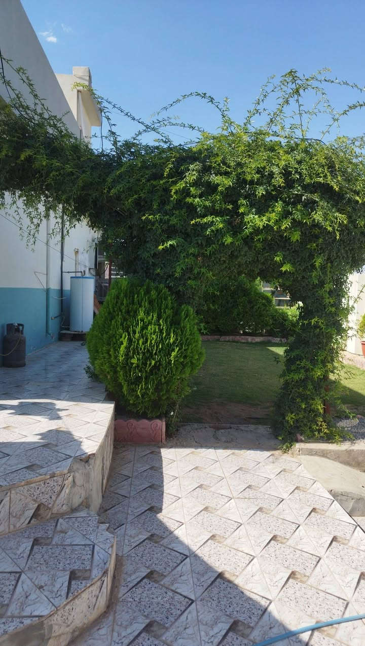 بيت للبيع بيجي حي الاسمده قرب باب حي كهرباء المساحة 400 يتكون من 3غرف نوم غرفة خطار ومطبخ حار بارد وغرفه خارجيه  البناء حديث البيت زراعي السعر خاص


**إذا كنت صاحب هذا الإعلان وتريد حذفه لأي سبب، رجاءا أرسل رسالة إلى الدعم الفني**