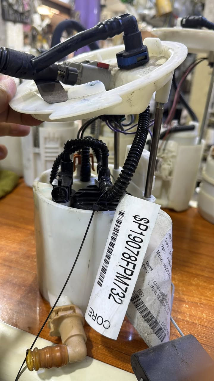 سلام وعليكم قاعده فيت بم موستنك 2023/2010  اصليه كامله حاويه وارد سعر 100 الف واصله الك متوفر جمله مفرد


**إذا كنت صاحب هذا الإعلان وتريد حذفه لأي سبب، رجاءا أرسل رسالة إلى الدعم الفني**