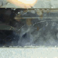 ريلمي C53 • ٢٥٦ • شاشة تحتاج تبديل