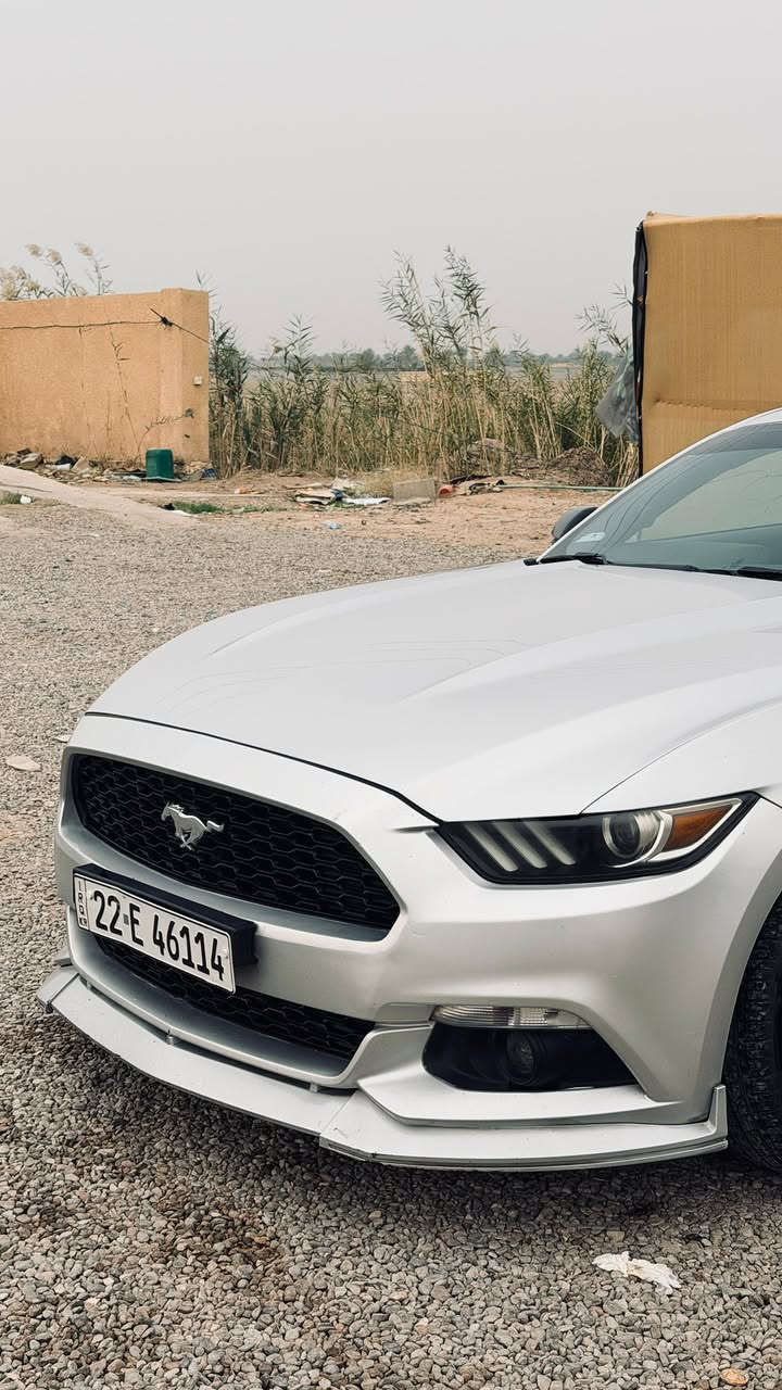 موستنك للبيع 2016 ايكو بوست 4 سلندر ماشيه 100 
السياره داخله للعراق كلين 
وصار عندي قدر كما موضح امامكم السياره مكفوله كير محرك شاصي حادثها بديت النيد وبدايت الجاملغ ابيع ع حالتهن 
السياره نظيفه وجاهزه من كلشي 
السعر / 130 وبيها مجال بسيط 
العنوان /الانبار /الكرمه 

***********
